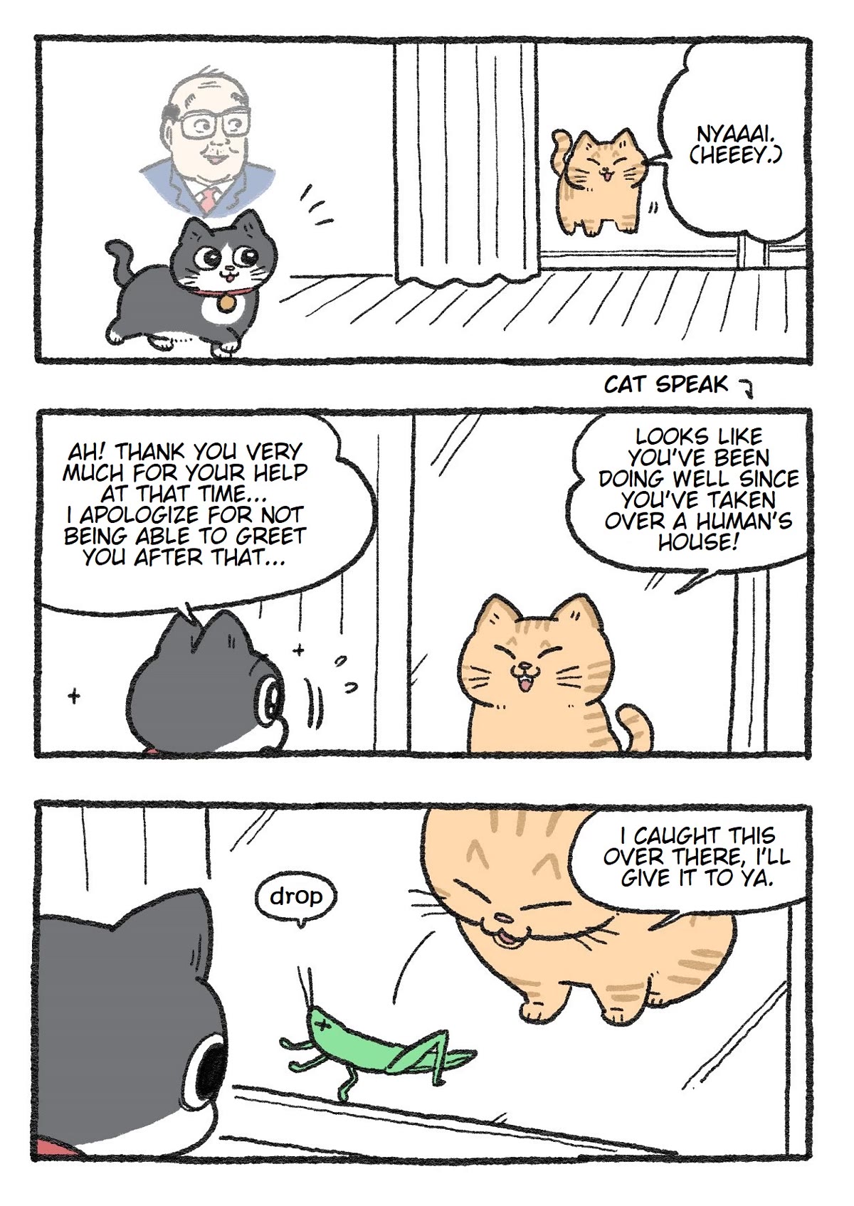 The Old Man Who Was Reincarnated As A Cat Chapter 145 page 1 - Chapter 145