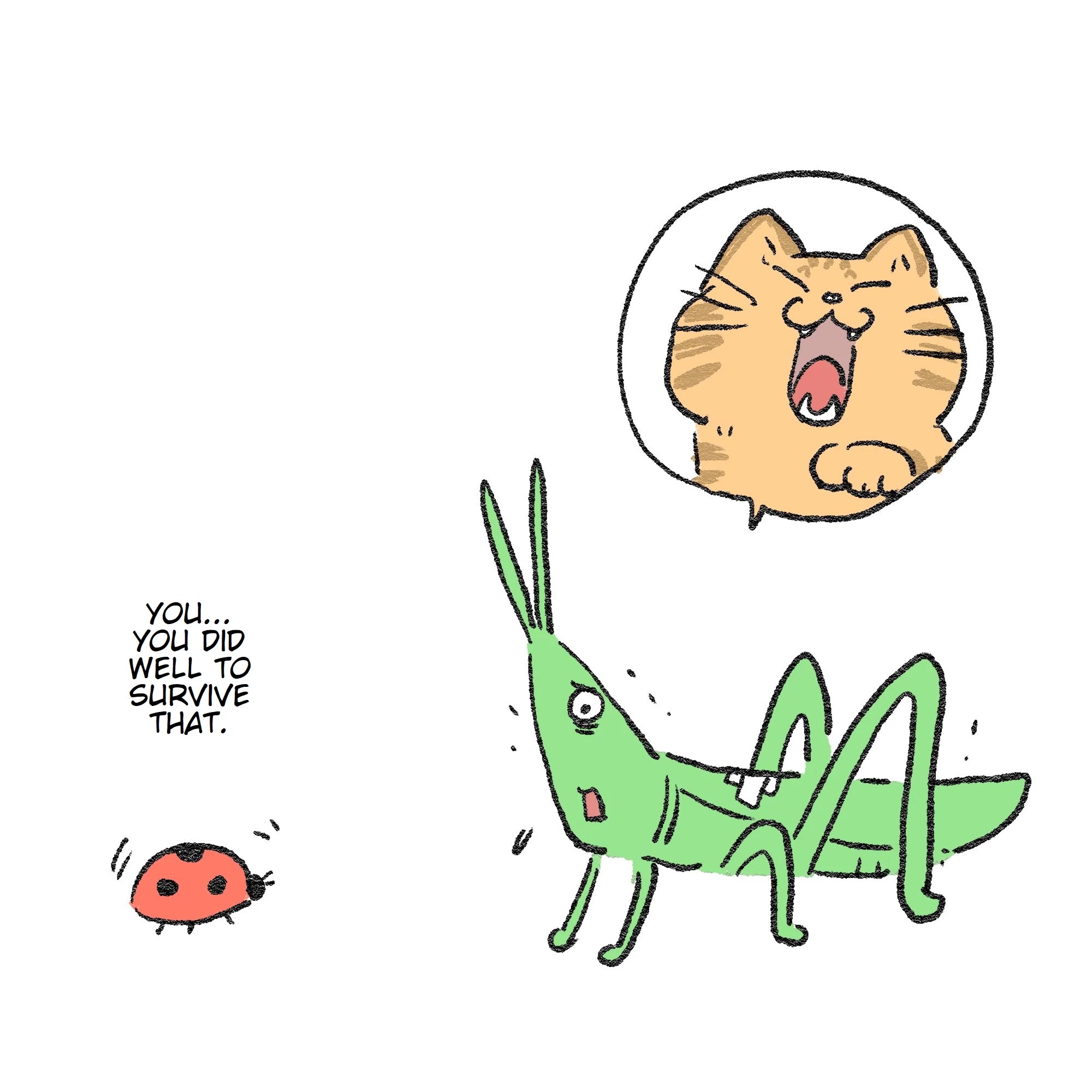 The Old Man Who Was Reincarnated As A Cat Chapter 146.5 page 1 - Chapter 146.5: Mr. Grasshopper After That
