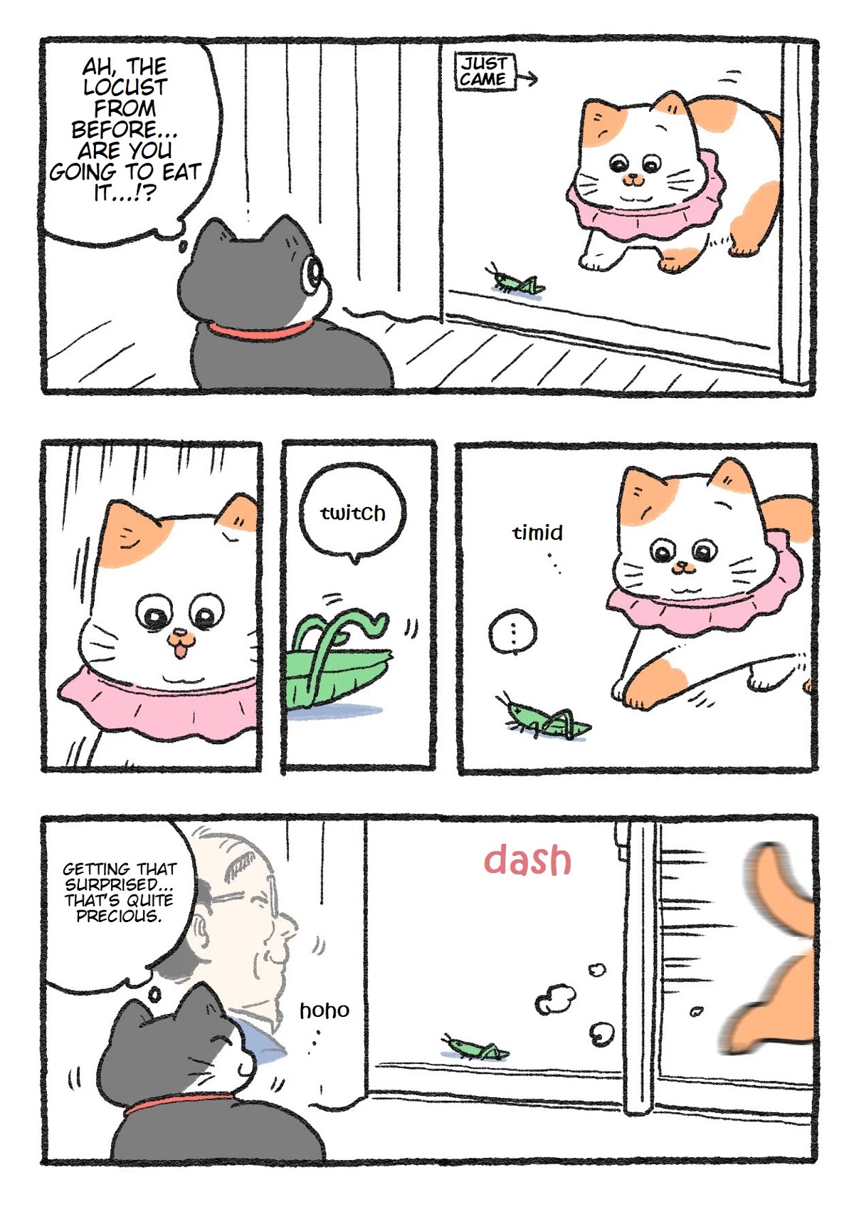 The Old Man Who Was Reincarnated As A Cat Chapter 146 page 1 - Chapter 146