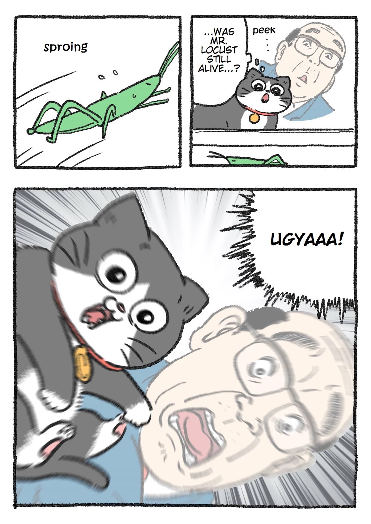The Old Man Who Was Reincarnated As A Cat Chapter 146 page 2 - Chapter 146