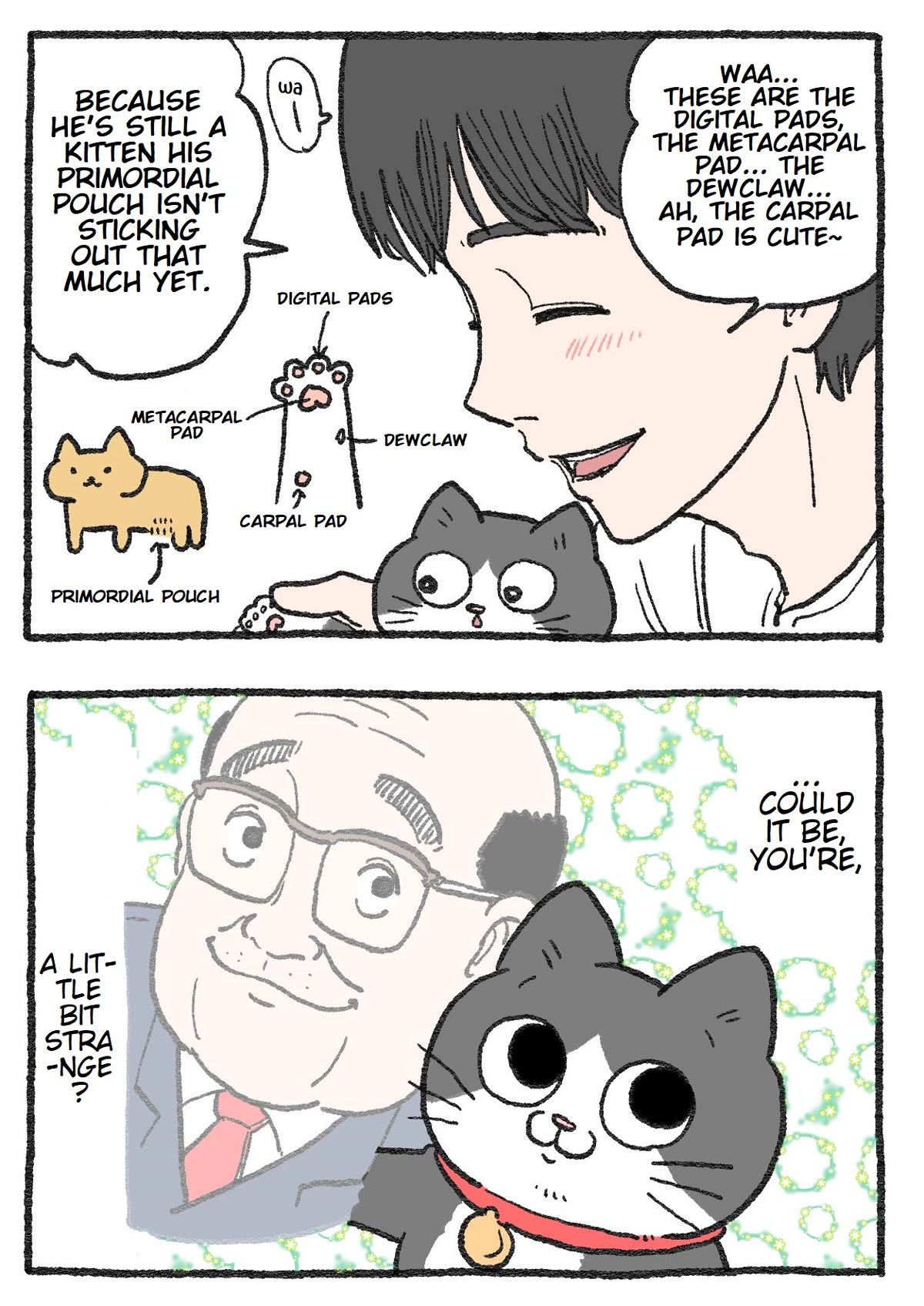 The Old Man Who Was Reincarnated As A Cat Chapter 152 page 2 - Chapter 152