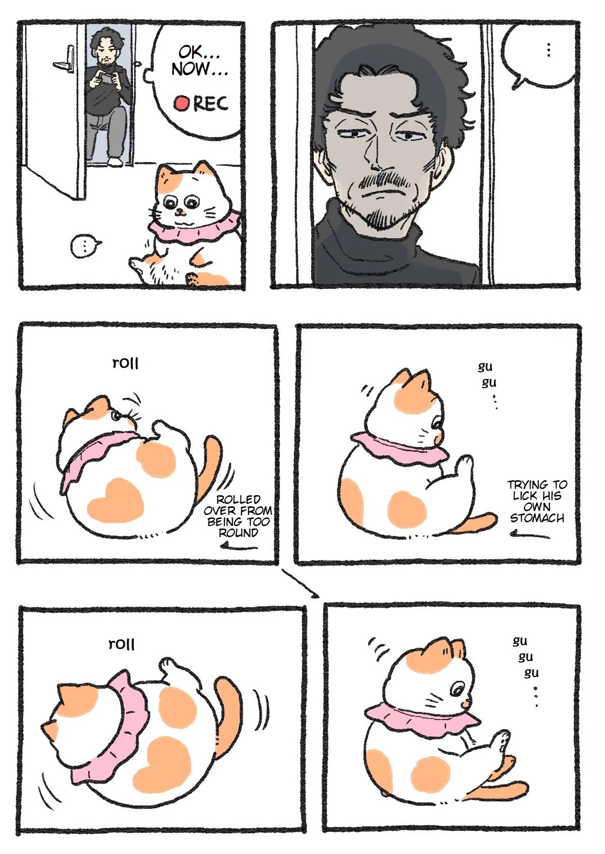 The Old Man Who Was Reincarnated As A Cat Chapter 165 page 1 - Chapter 165