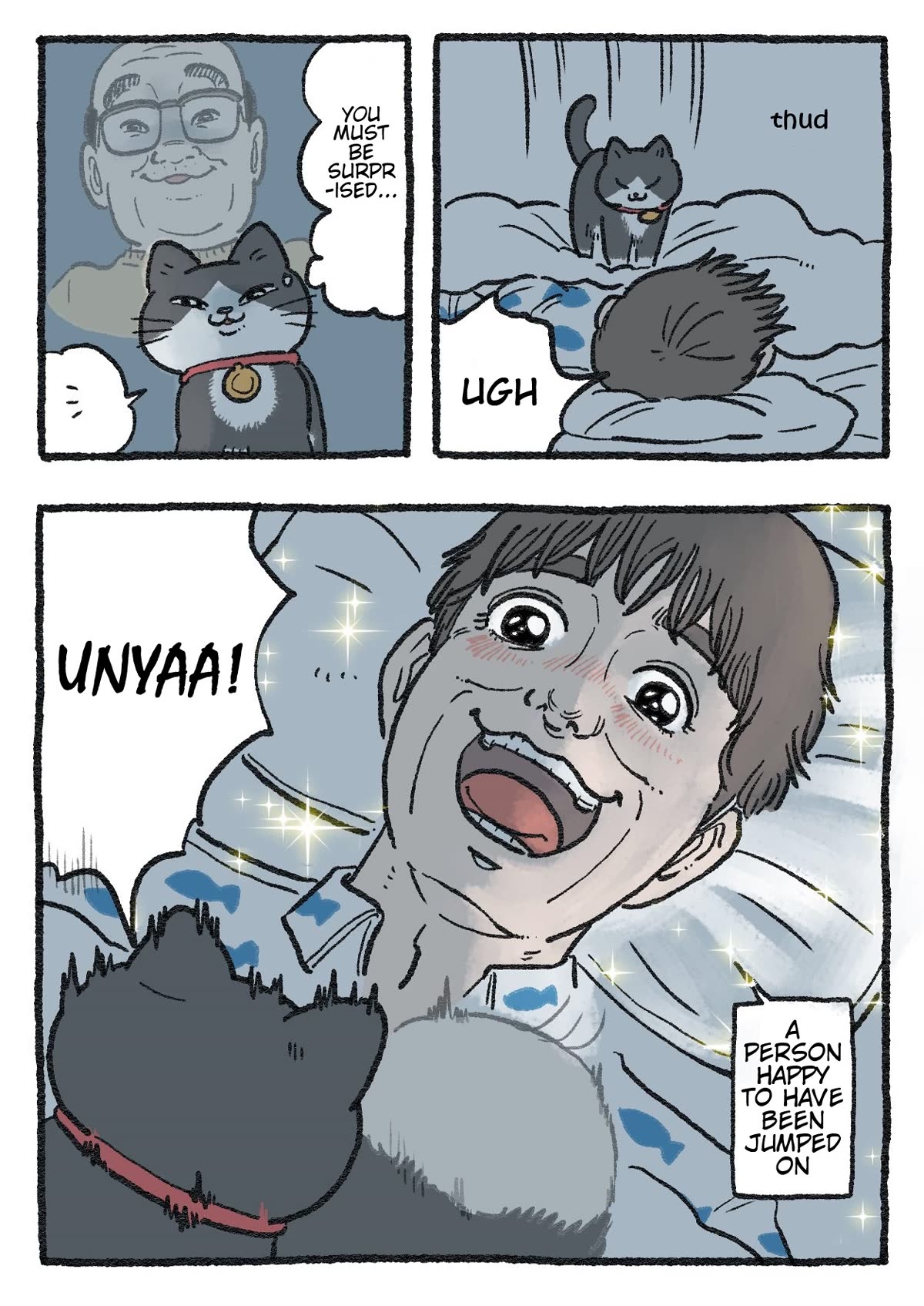 The Old Man Who Was Reincarnated As A Cat Chapter 197 page 2 - Chapter 197