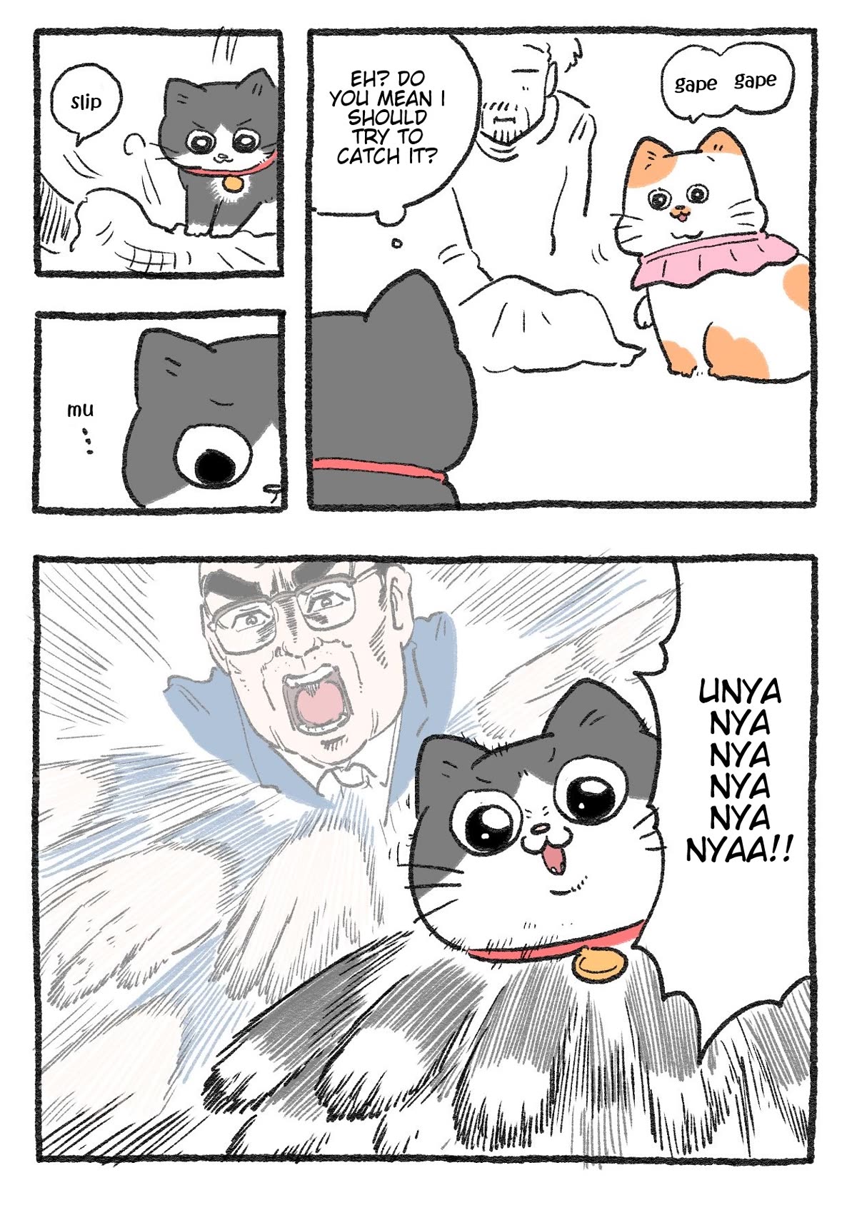 The Old Man Who Was Reincarnated As A Cat Chapter 237 page 2 - Chapter 237