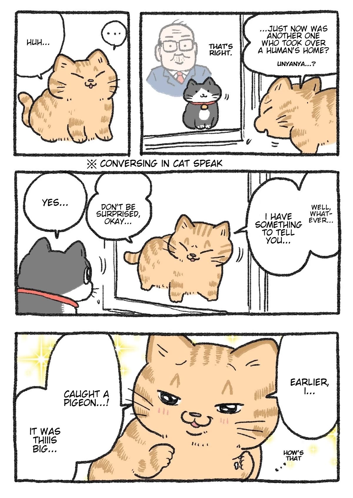 The Old Man Who Was Reincarnated As A Cat Chapter 252 page 1 - Chapter 252