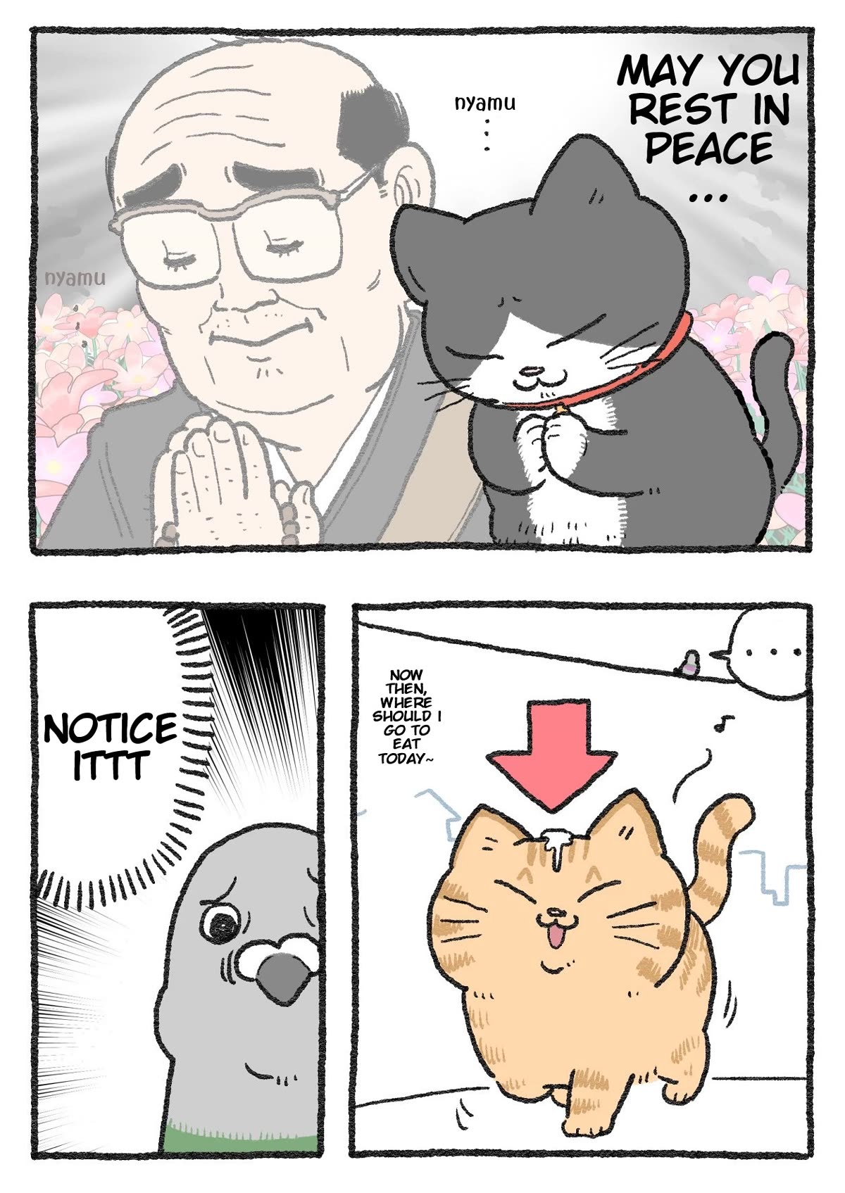 The Old Man Who Was Reincarnated As A Cat Chapter 254 page 2 - Chapter 254