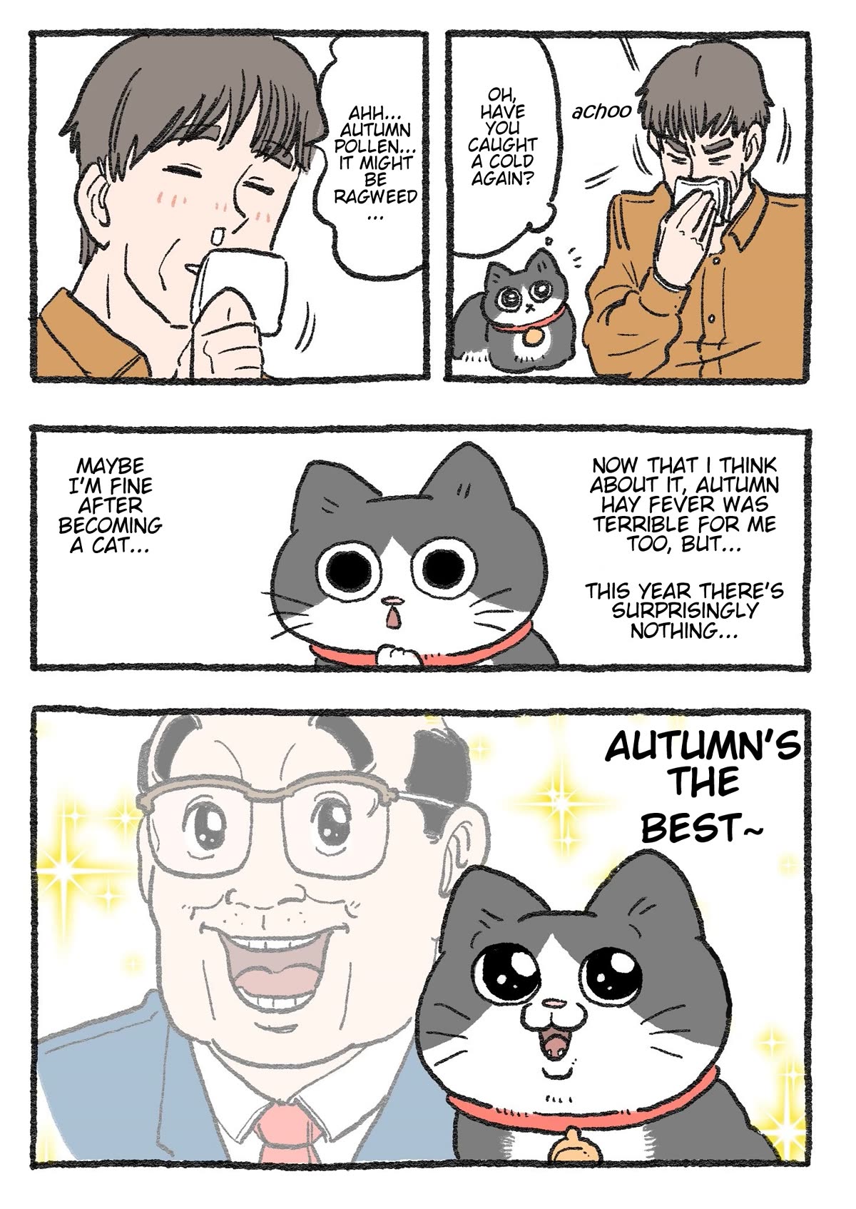 The Old Man Who Was Reincarnated As A Cat Chapter 256 page 2 - Chapter 256
