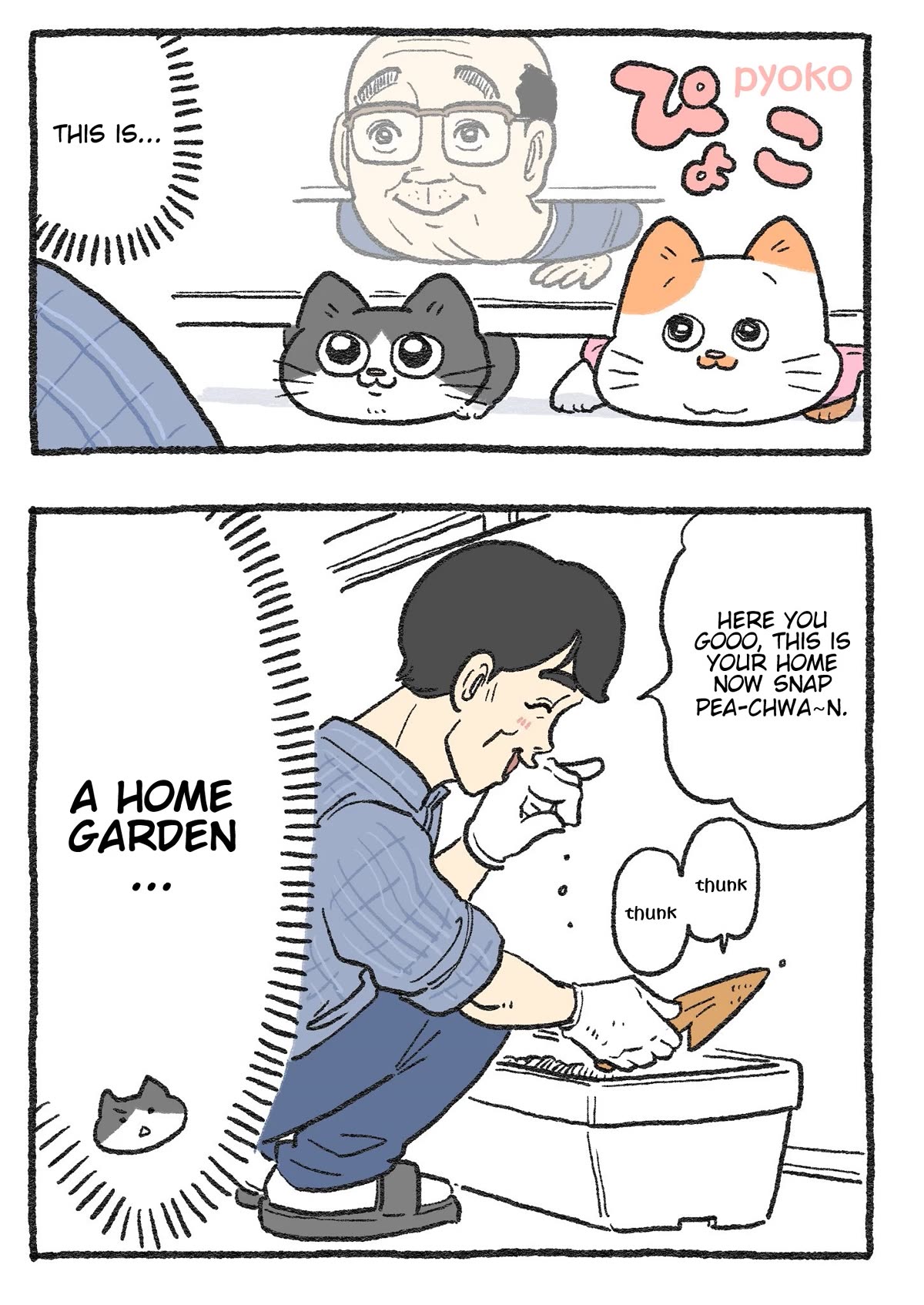 The Old Man Who Was Reincarnated As A Cat Chapter 257 page 2 - Chapter 257