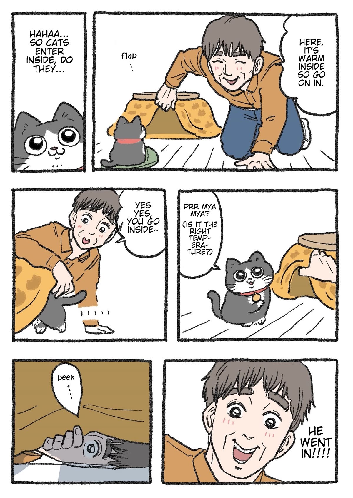 The Old Man Who Was Reincarnated As A Cat Chapter 263 page 1 - Chapter 263