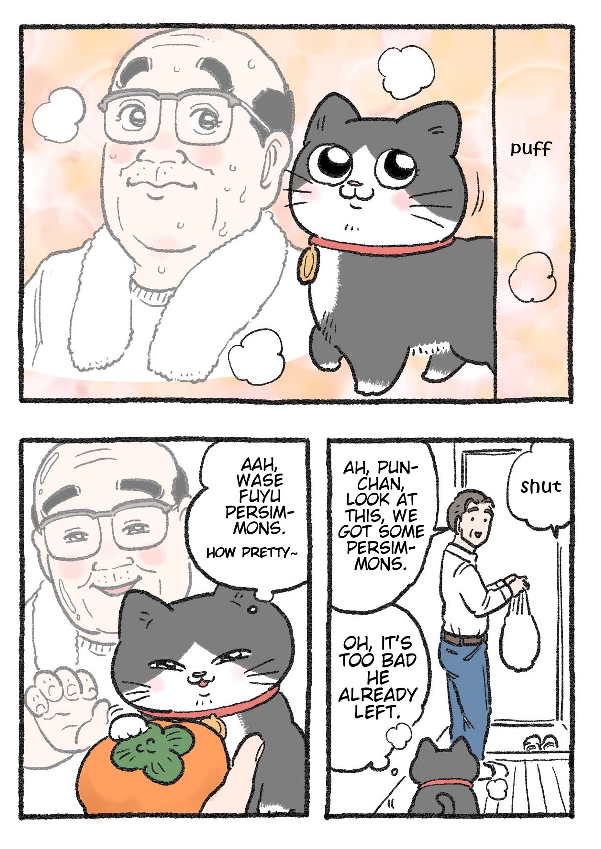 The Old Man Who Was Reincarnated As A Cat Chapter 276 page 2 - Chapter 276