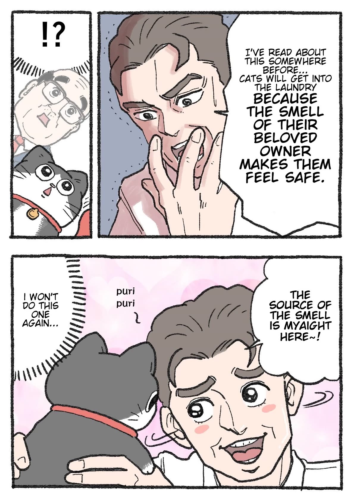The Old Man Who Was Reincarnated As A Cat Chapter 293 page 2 - Chapter 293