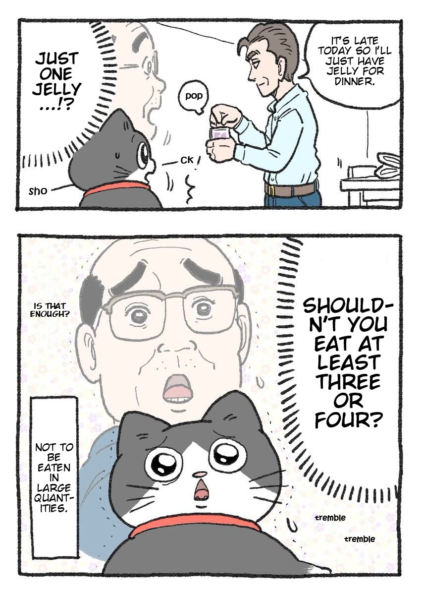 The Old Man Who Was Reincarnated As A Cat Chapter 298.5 page 2 - Chapter 298.5: Family Mart Collab