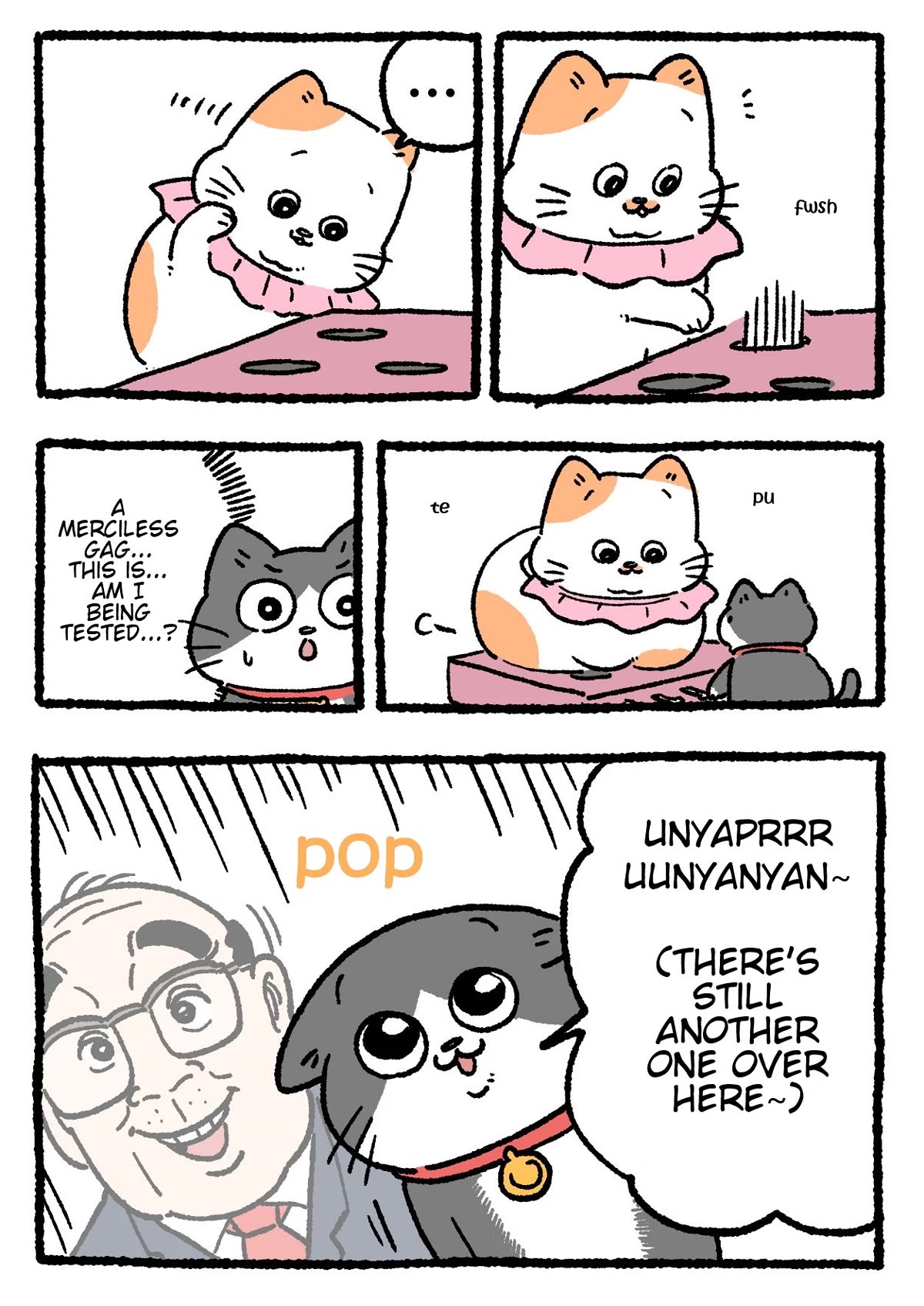 The Old Man Who Was Reincarnated As A Cat Chapter 344 page 2 - Chapter 344