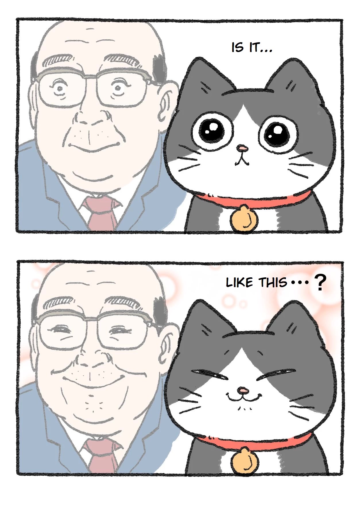 The Old Man Who Was Reincarnated As A Cat Chapter 37 page 2 - Chapter 37