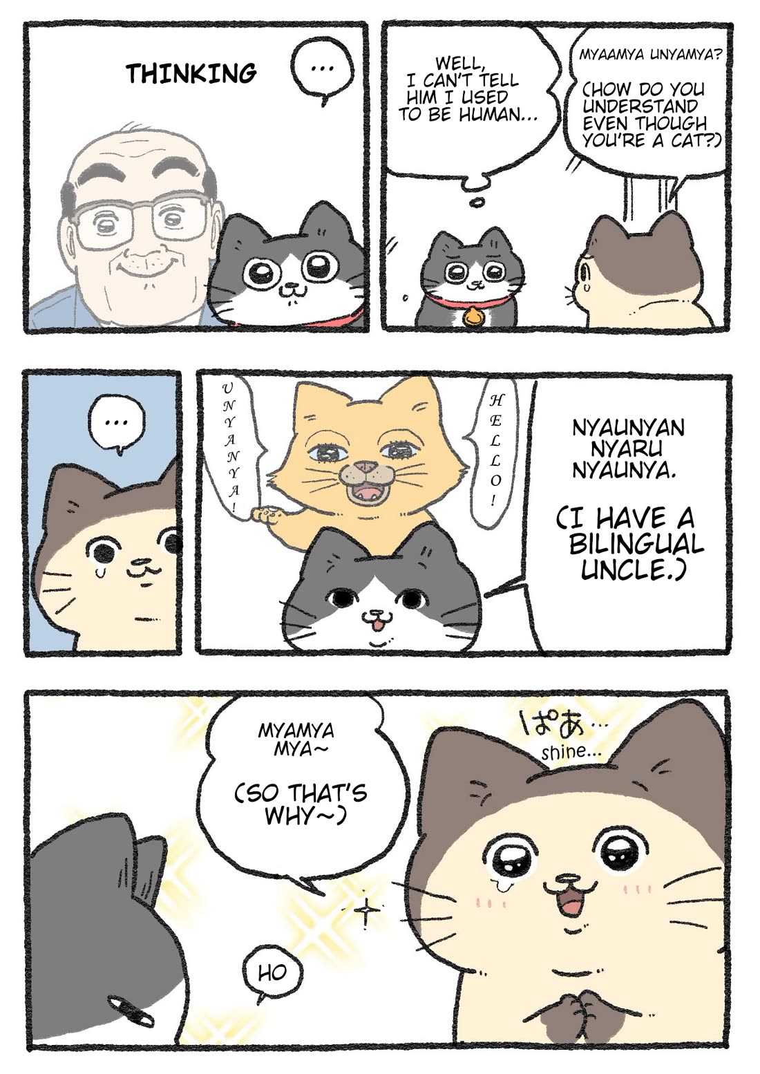 The Old Man Who Was Reincarnated As A Cat Chapter 381 page 2 - Chapter 381