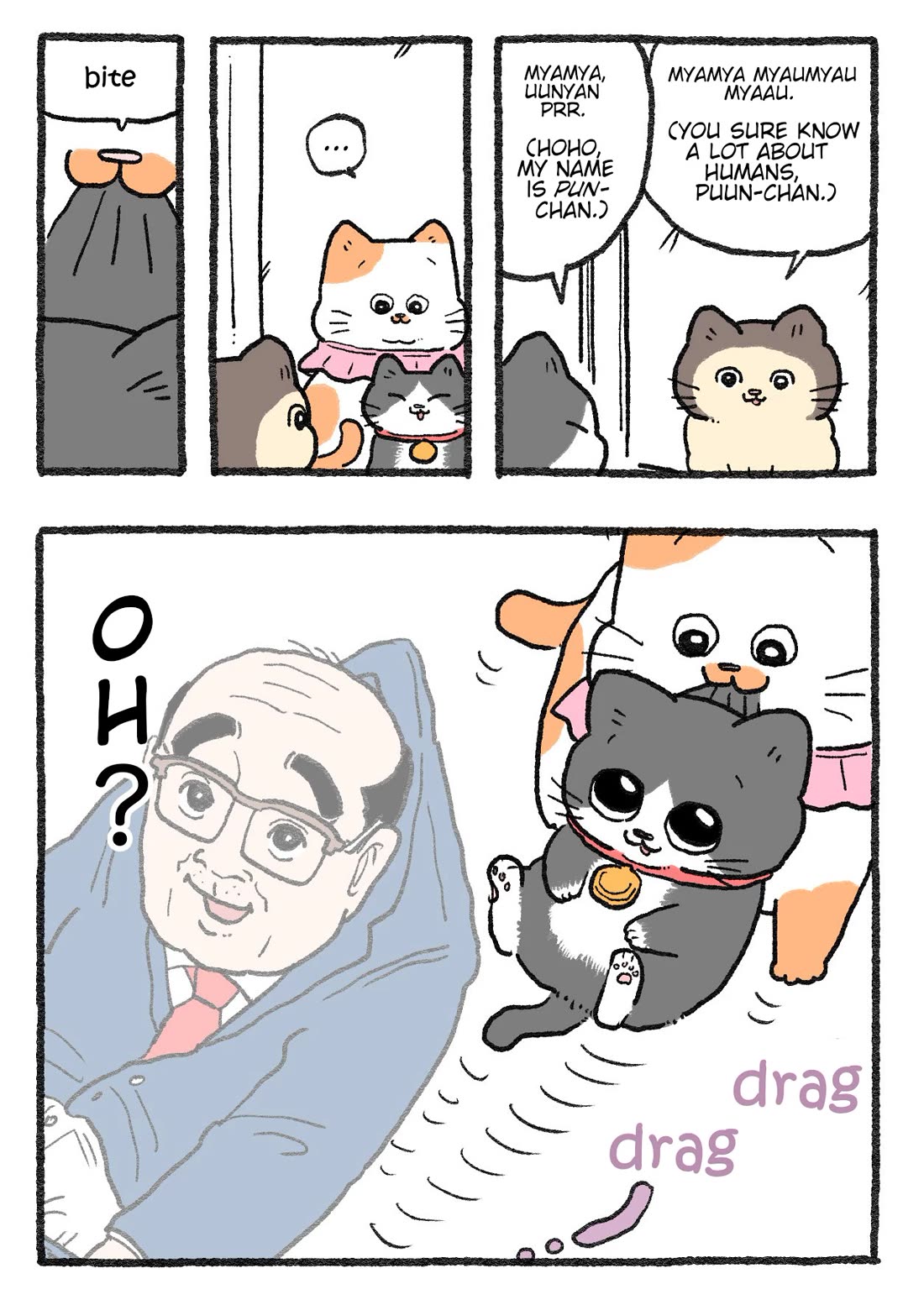 The Old Man Who Was Reincarnated As A Cat Chapter 389 page 2 - Chapter 389