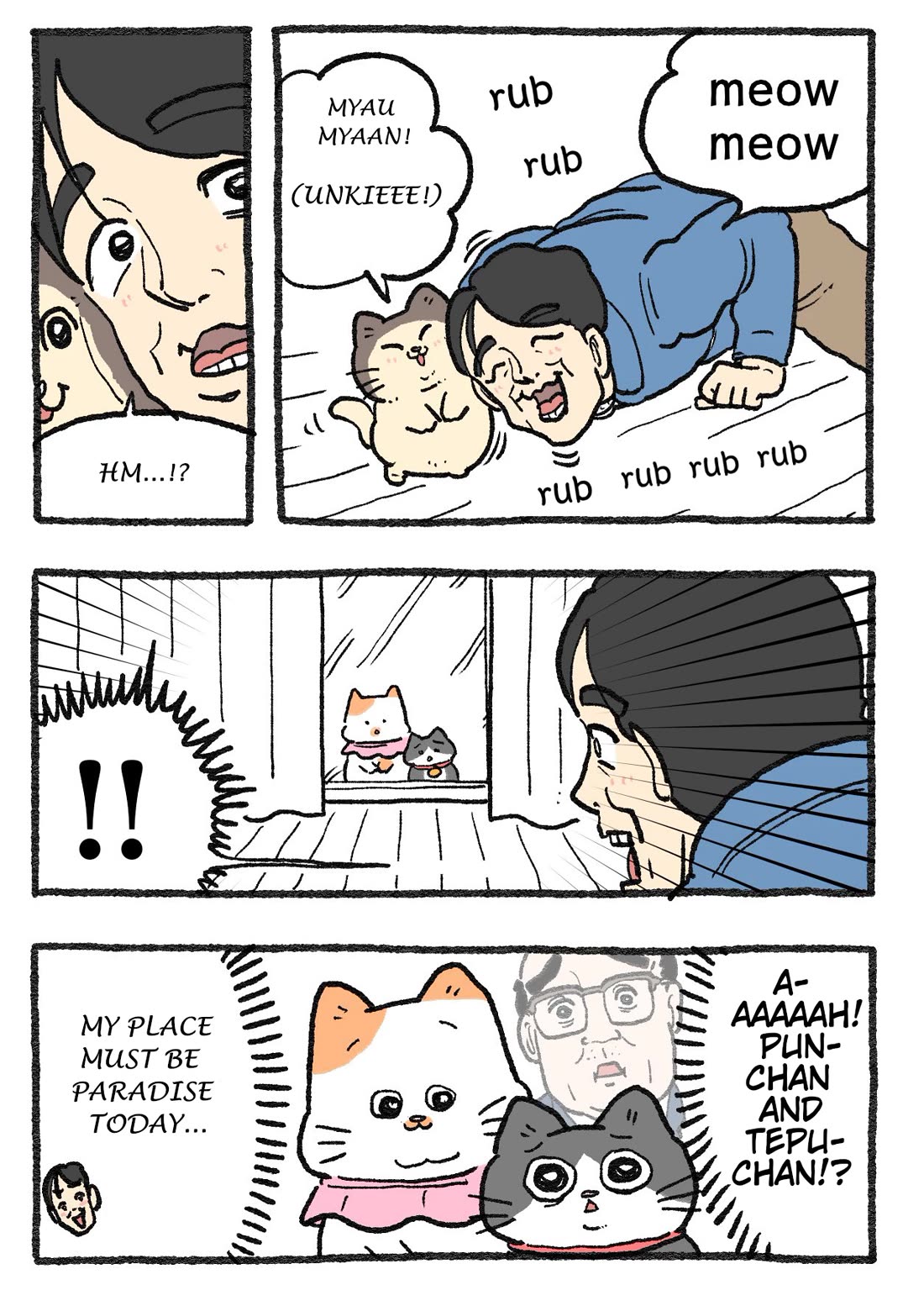 The Old Man Who Was Reincarnated As A Cat Chapter 393 page 1 - Chapter 393