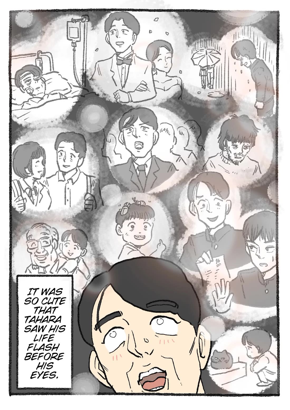 The Old Man Who Was Reincarnated As A Cat Chapter 397 page 2 - Chapter 397