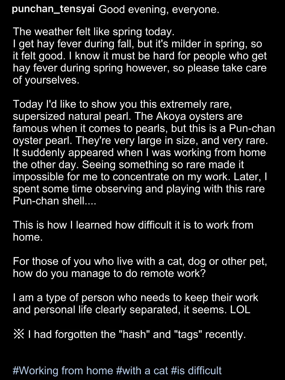 The Old Man Who Was Reincarnated As A Cat Chapter 403.5 page 2 - Chapter 403.5: President's Instagram