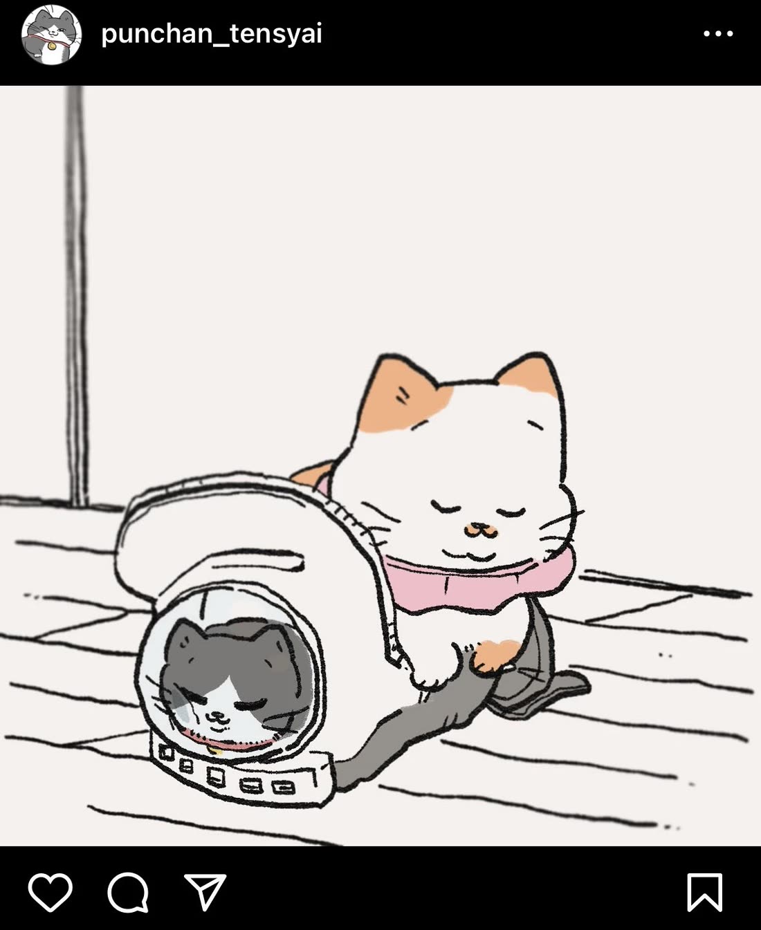 The Old Man Who Was Reincarnated As A Cat Chapter 413.5 page 1 - Chapter 413.5: President's Instagram