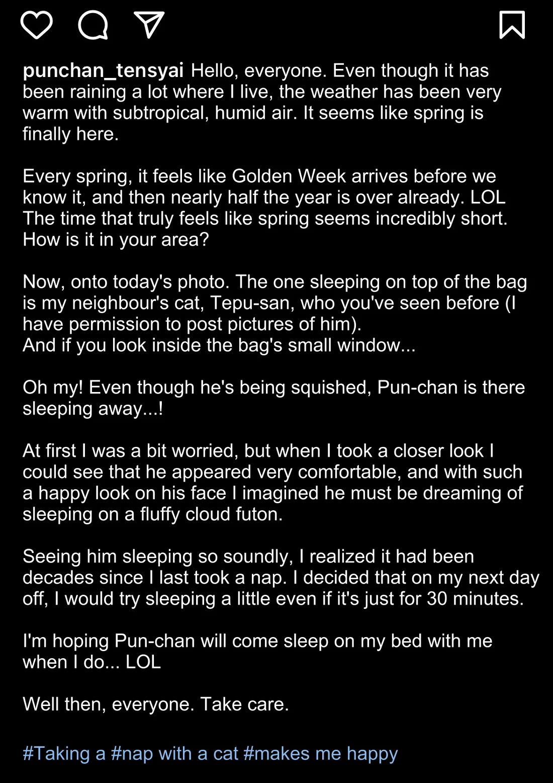 The Old Man Who Was Reincarnated As A Cat Chapter 413.5 page 2 - Chapter 413.5: President's Instagram