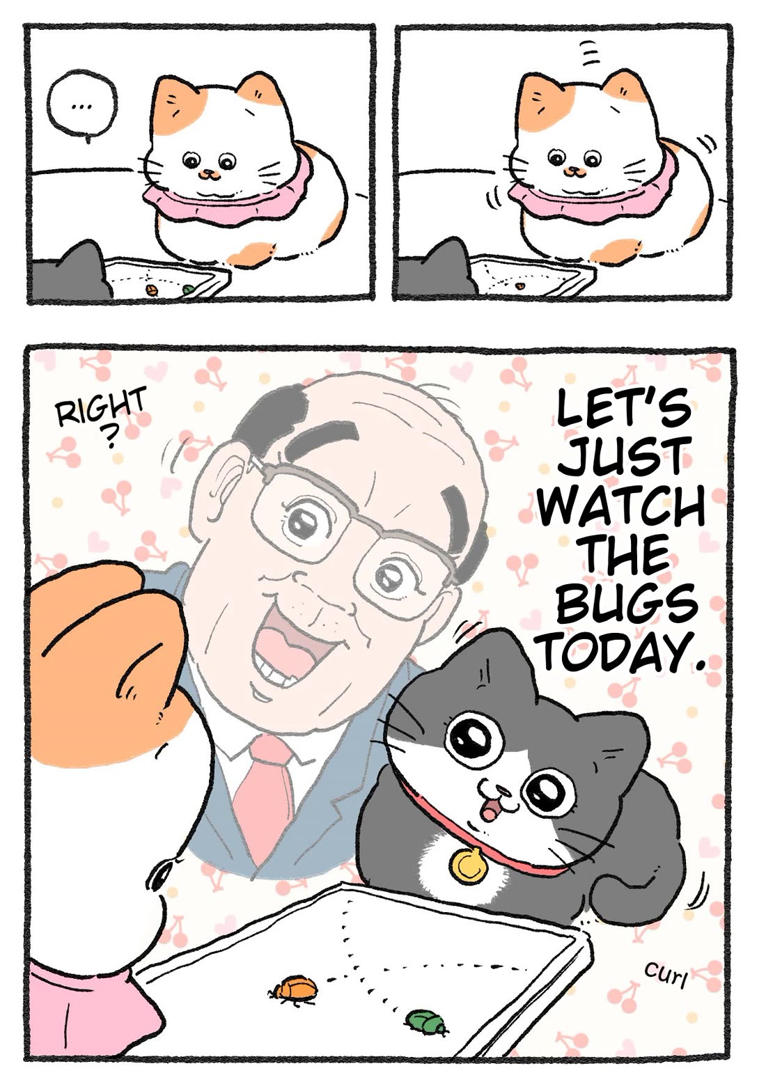 The Old Man Who Was Reincarnated As A Cat Chapter 424 page 2 - Chapter 424