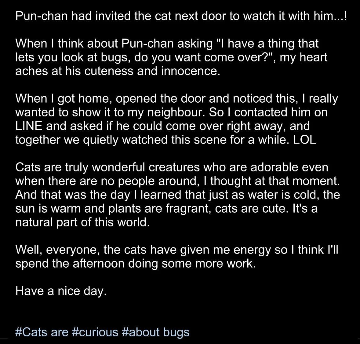 The Old Man Who Was Reincarnated As A Cat Chapter 425.5 page 3 - Chapter 425.5: President's Instagram