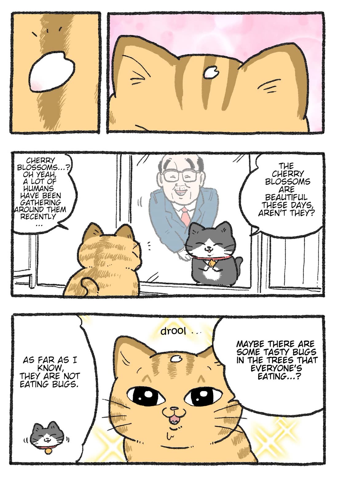 The Old Man Who Was Reincarnated As A Cat Chapter 430 page 2 - Chapter 430