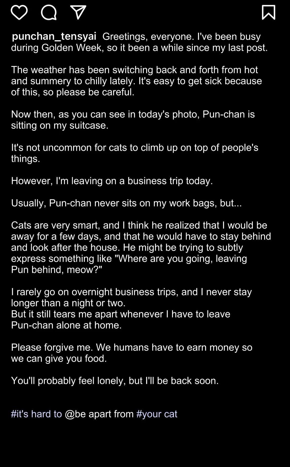 The Old Man Who Was Reincarnated As A Cat Chapter 458.1 page 2 - Chapter 458.1: President's Instagram