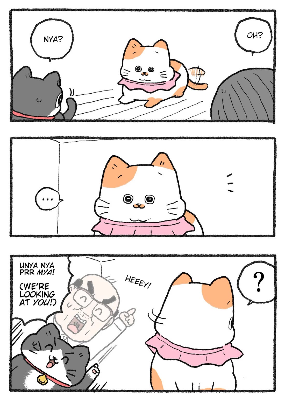 The Old Man Who Was Reincarnated As A Cat Chapter 461 page 2 - Chapter 461