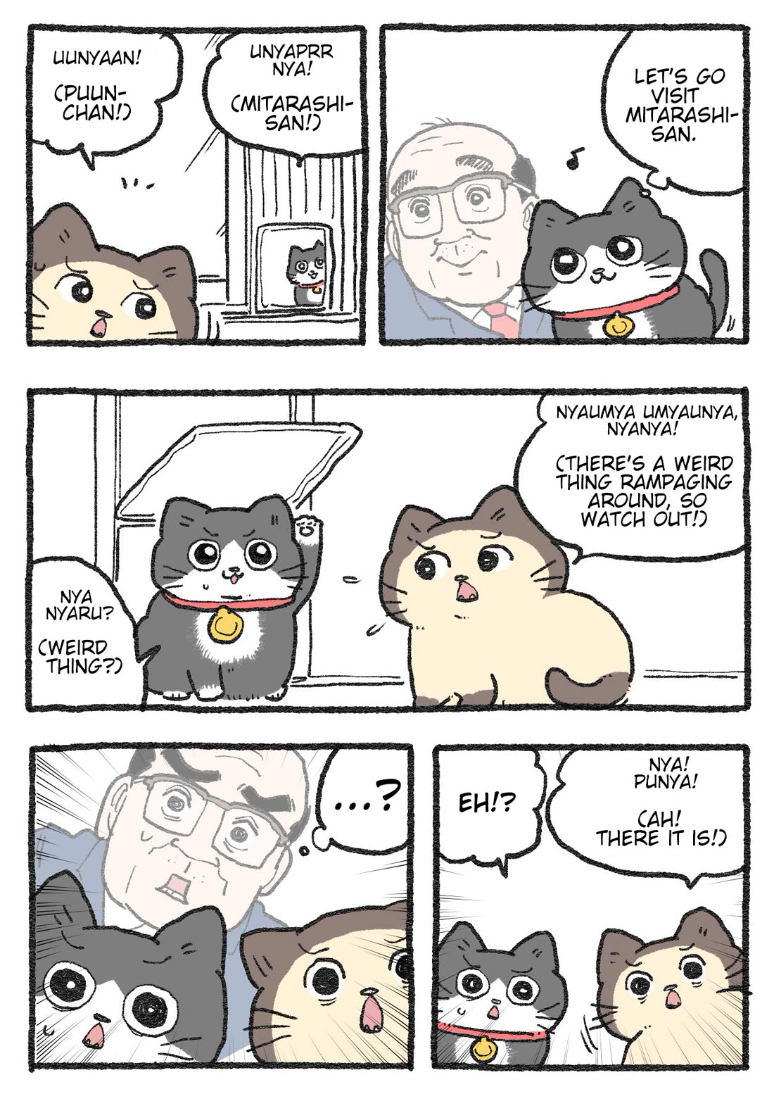 The Old Man Who Was Reincarnated As A Cat Chapter 504 page 1 - Chapter 504