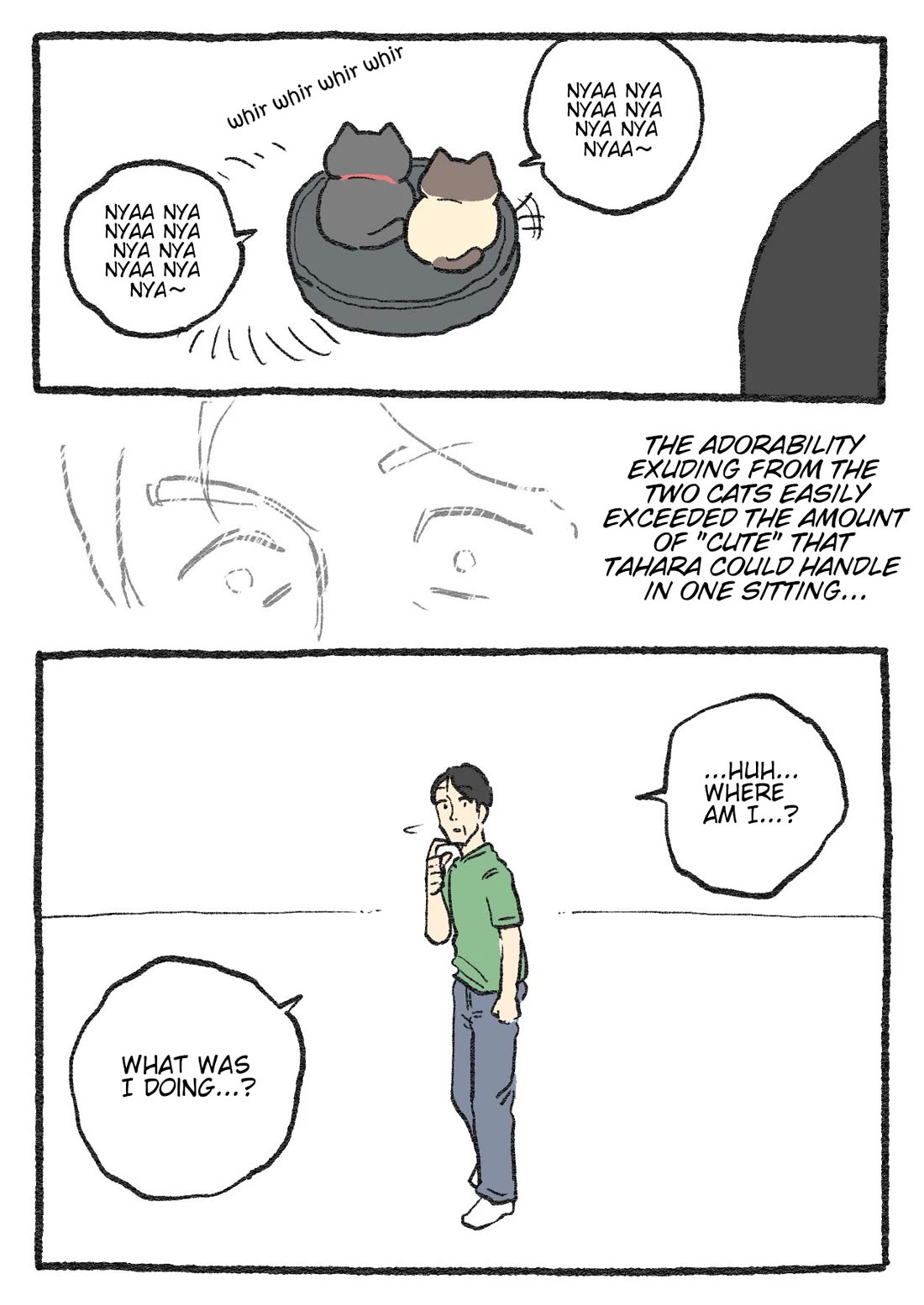 The Old Man Who Was Reincarnated As A Cat Chapter 506 page 3 - Chapter 506