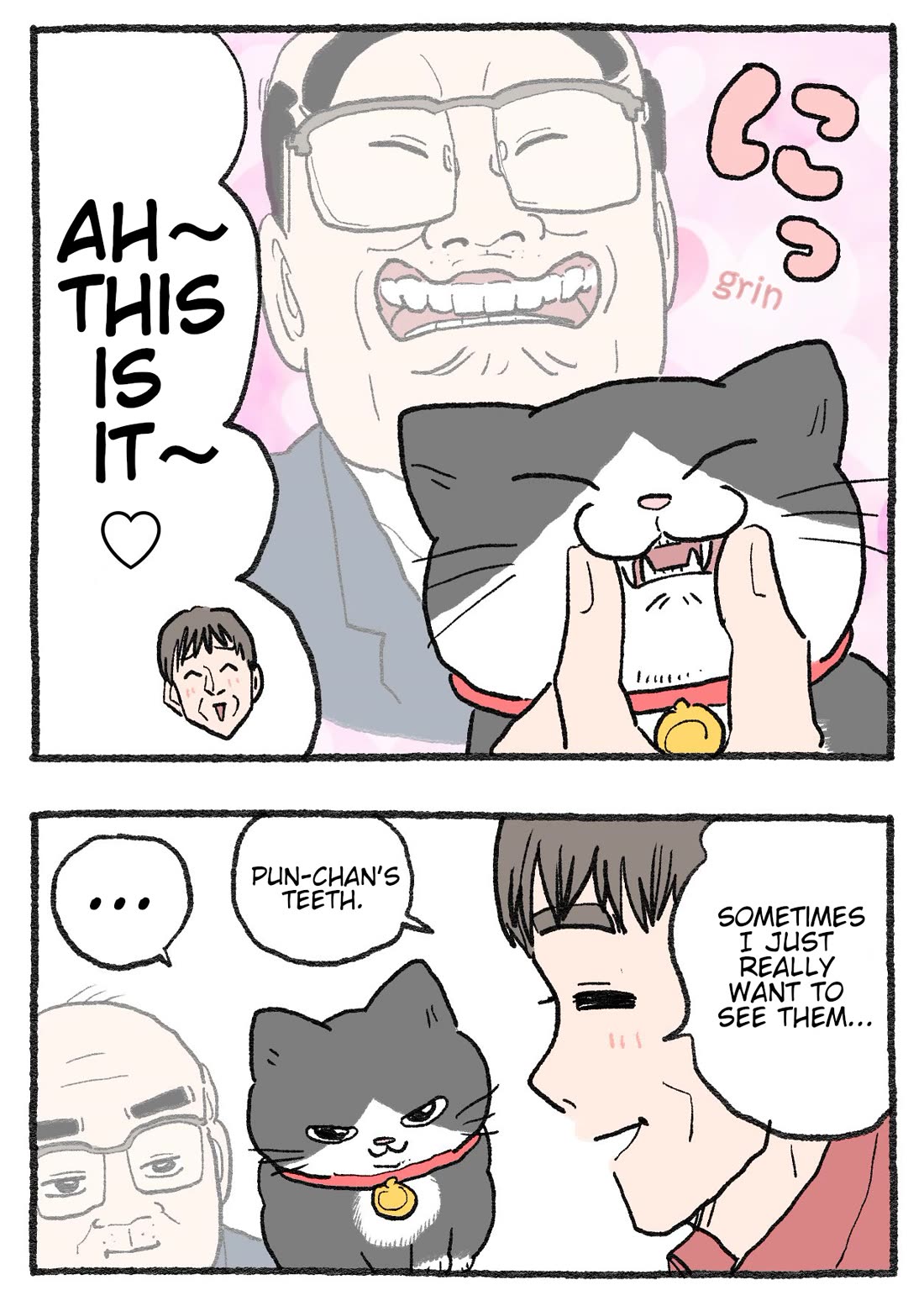 The Old Man Who Was Reincarnated As A Cat Chapter 511 page 2 - Chapter 511