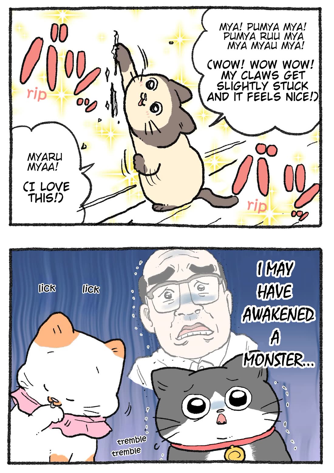 The Old Man Who Was Reincarnated As A Cat Chapter 519 page 2 - Chapter 519