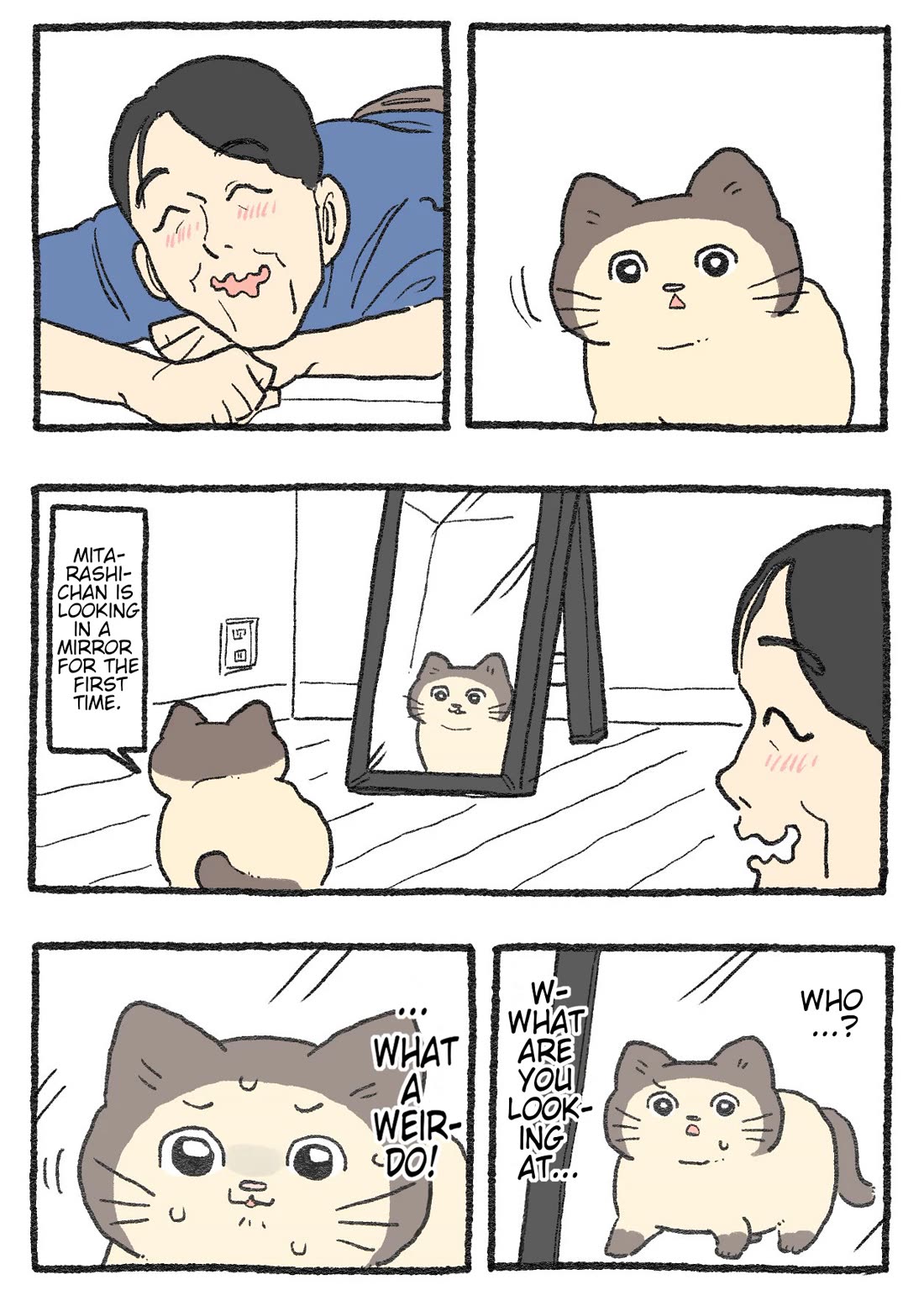 The Old Man Who Was Reincarnated As A Cat Chapter 531 page 1 - Chapter 531