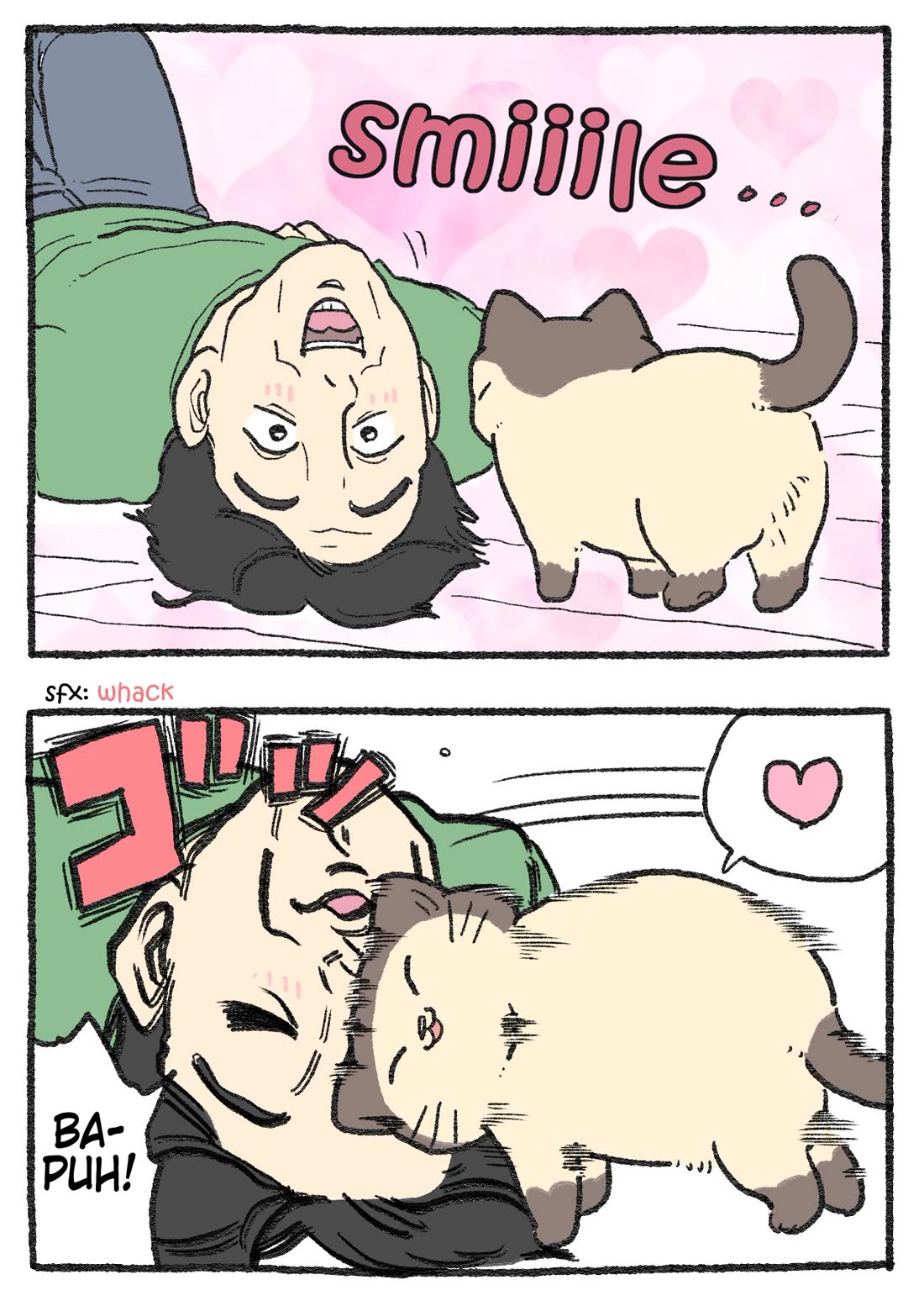 The Old Man Who Was Reincarnated As A Cat Chapter 539 page 2 - Chapter 539