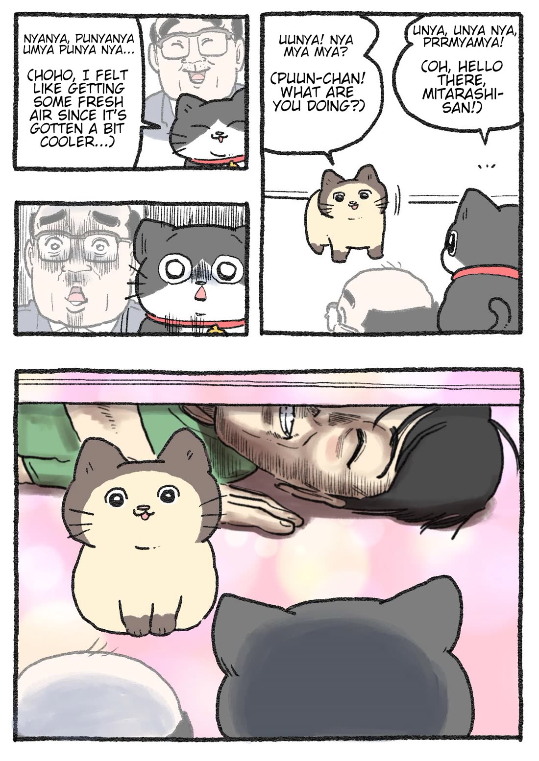 The Old Man Who Was Reincarnated As A Cat Chapter 557 page 2 - Chapter 557