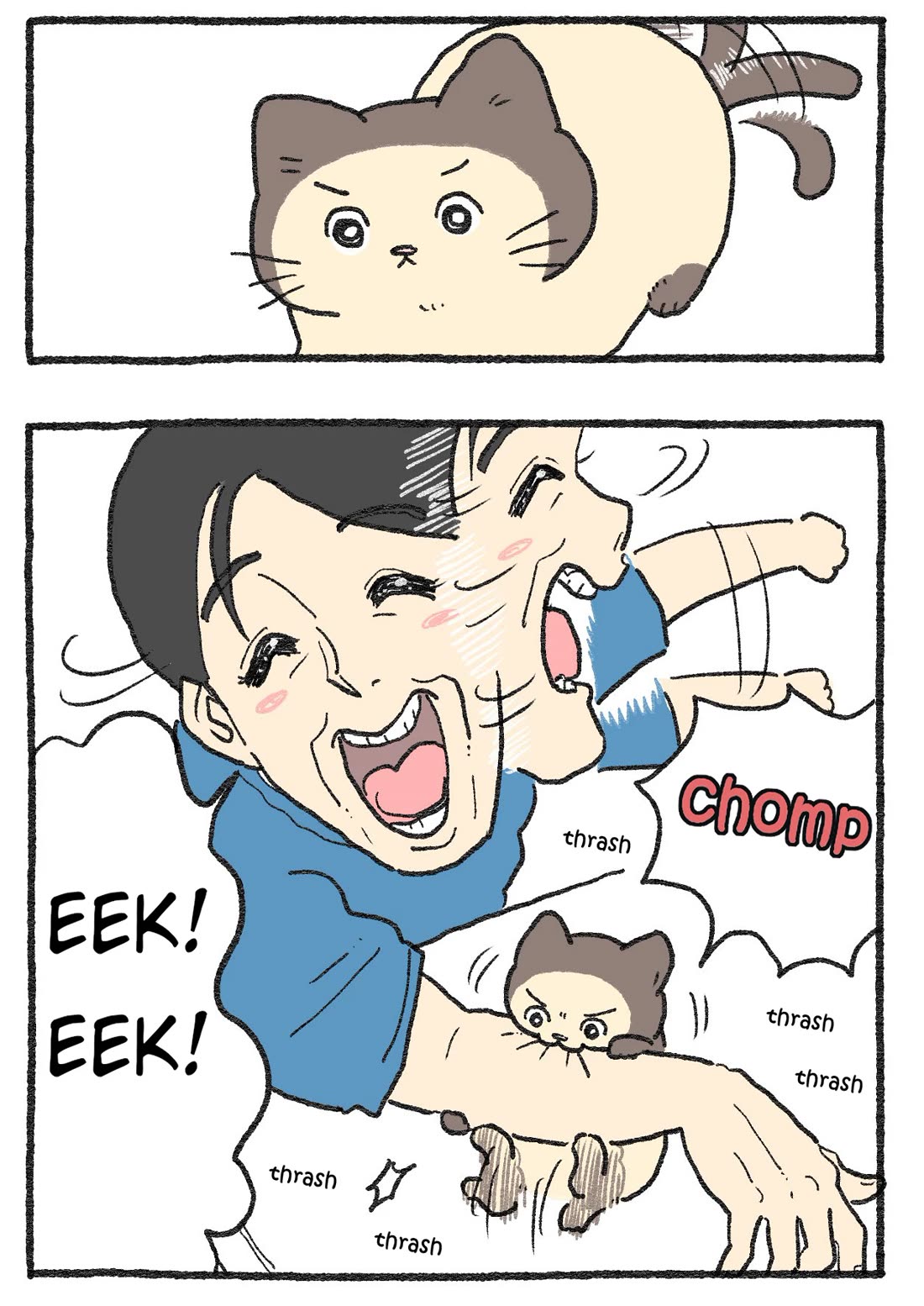 The Old Man Who Was Reincarnated As A Cat Chapter 565 page 2 - Chapter 565