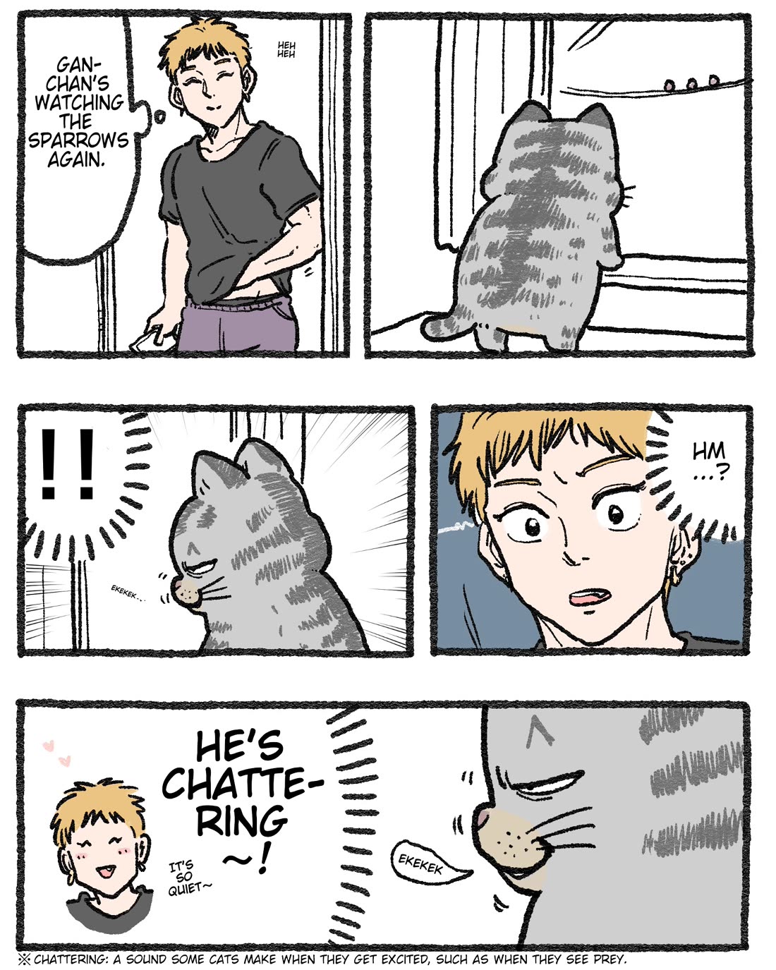 The Old Man Who Was Reincarnated As A Cat Chapter 568.5 page 1 - Chapter 568.5