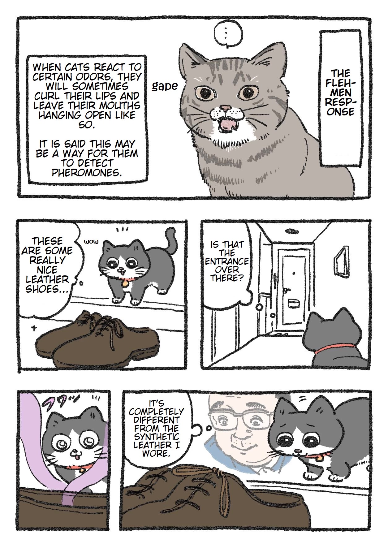 The Old Man Who Was Reincarnated As A Cat Chapter 57 page 1 - Chapter 57