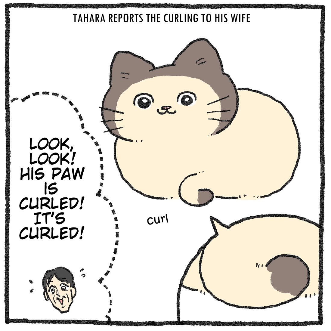 The Old Man Who Was Reincarnated As A Cat Chapter 578.6 page 4 - Chapter 578.6: Twitter/X Extras