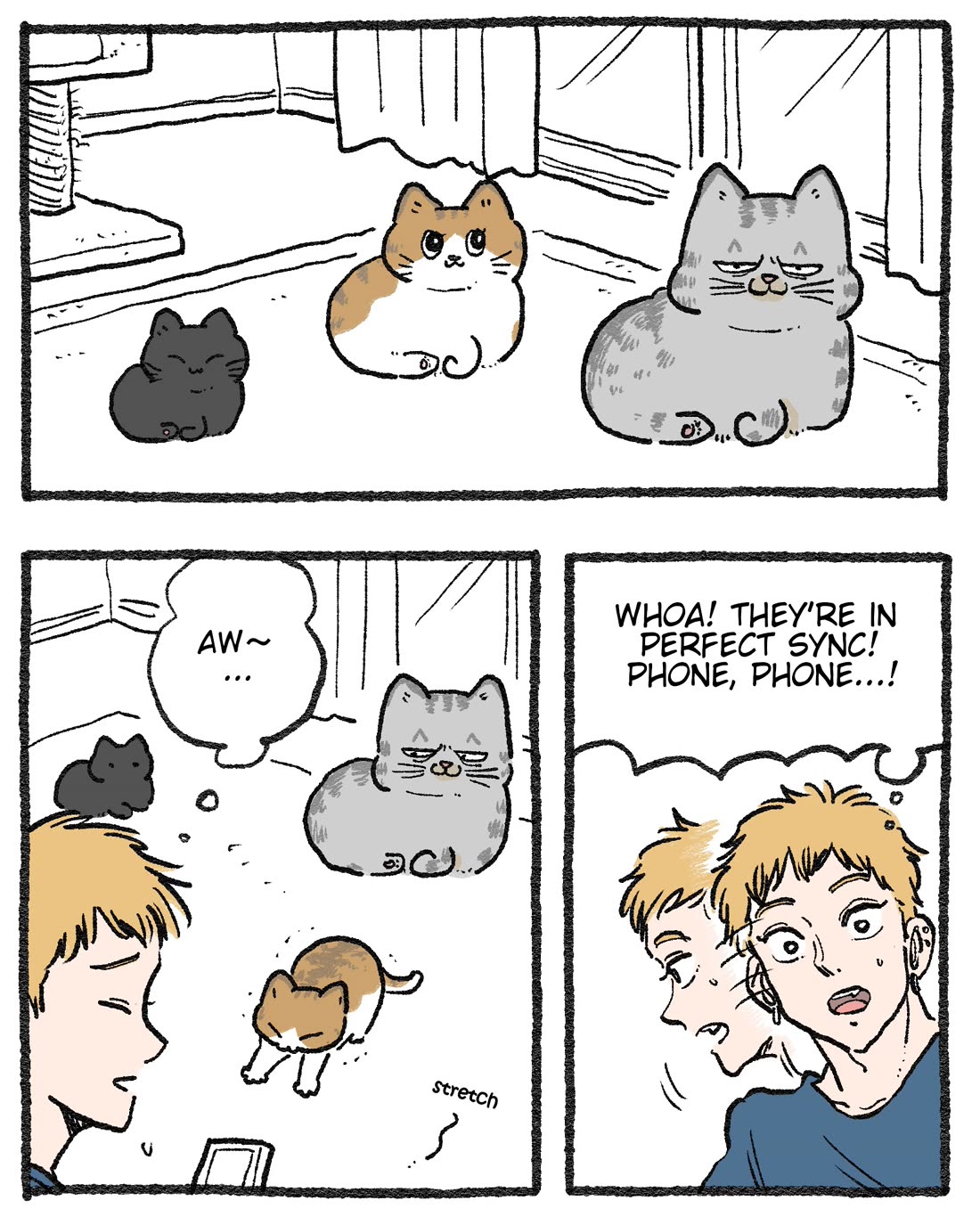 The Old Man Who Was Reincarnated As A Cat Chapter 591.5 page 1 - Chapter 591.5