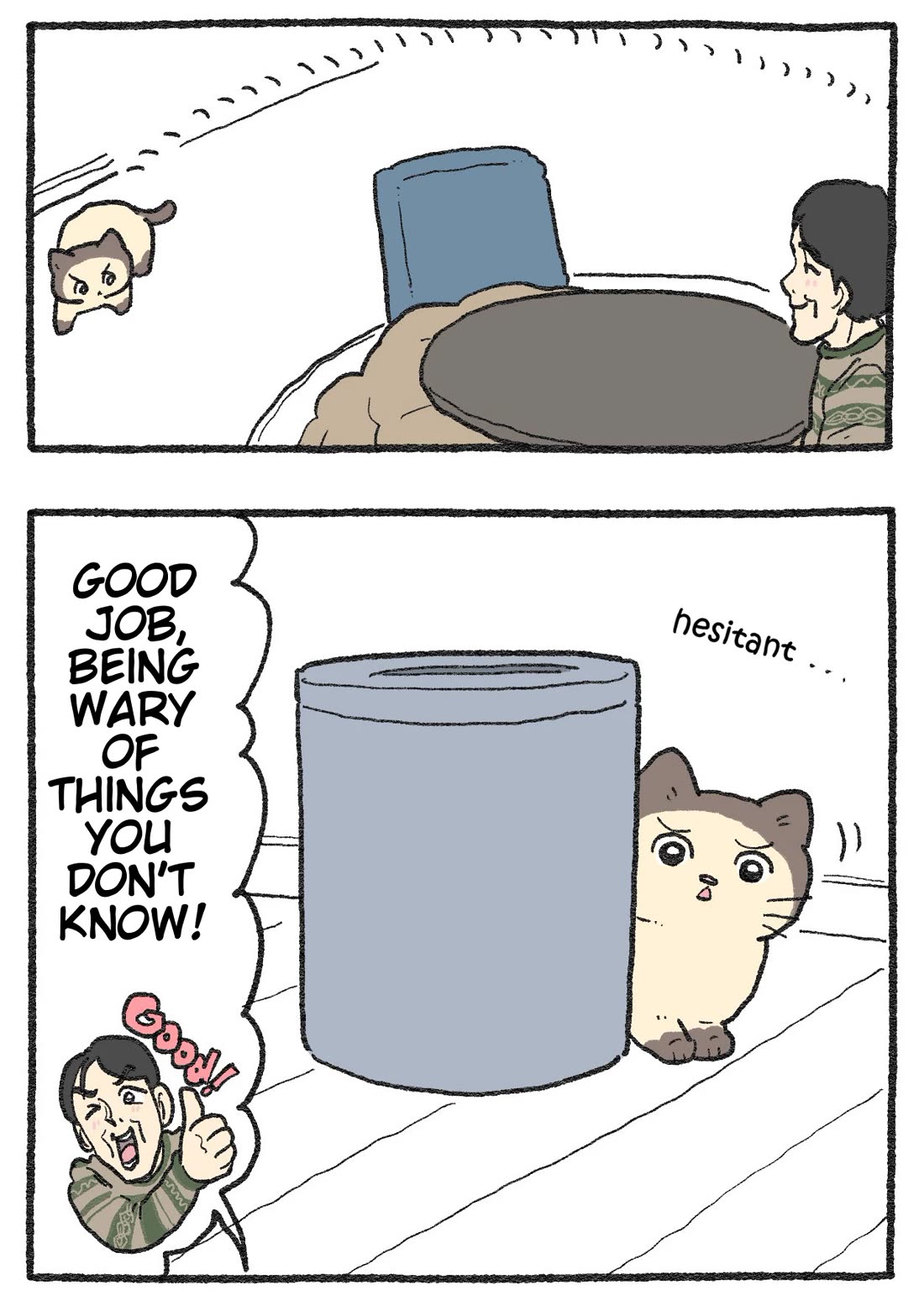 The Old Man Who Was Reincarnated As A Cat Chapter 594 page 2 - Chapter 594