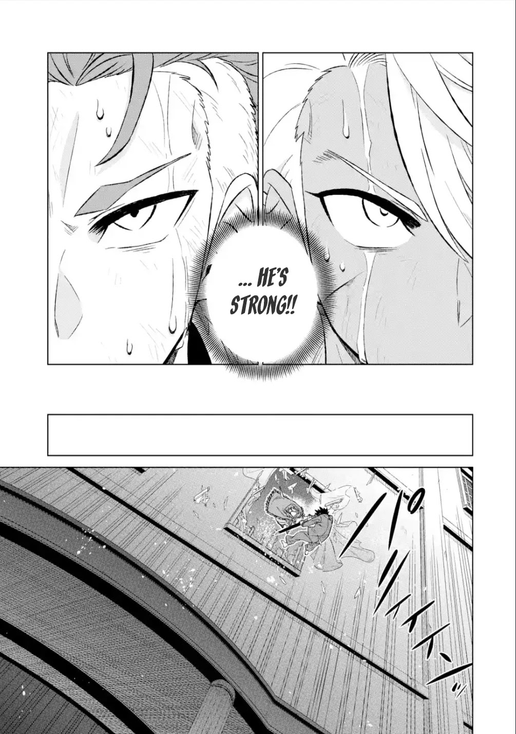 The Only Monster Tamer in the World: I Was Mistaken for the Demon King When I Changed My Job Chapter 39.1 page 12 - Chapter 39.1: A Letter from Brother