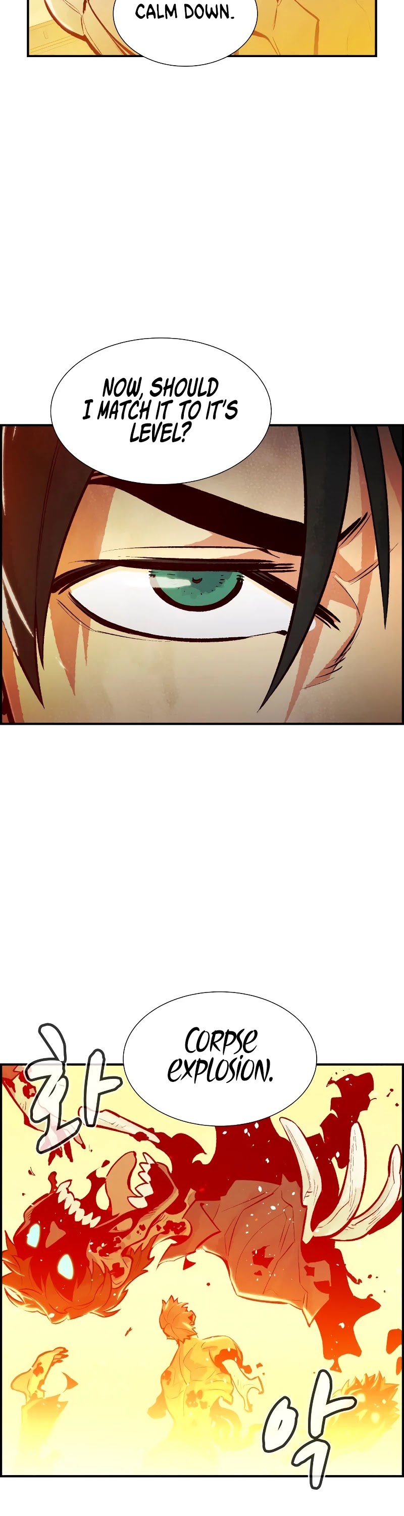 The Only Necromancer Chapter 41 page 49 - Chapter 41