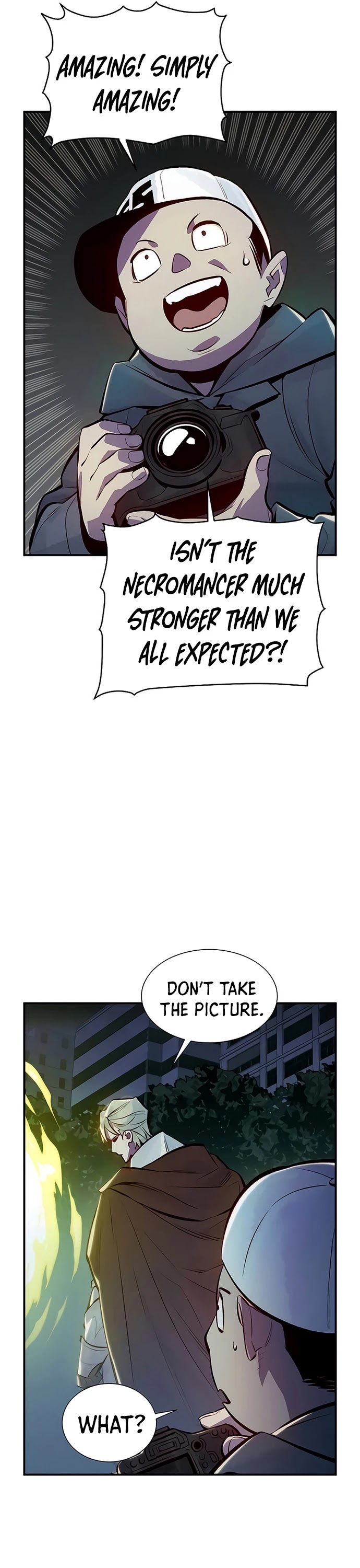 The Only Necromancer Chapter 49 page 29 - Chapter 49