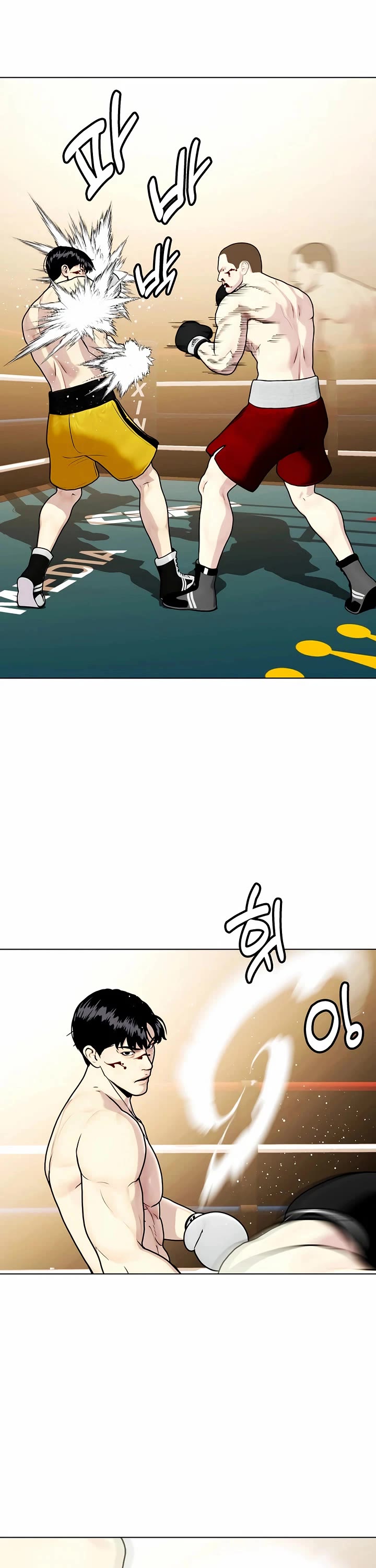 The Outcast Is Too Good at Martial Arts Chapter 106 page 27 - Chapter 106