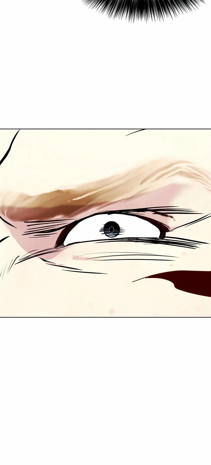 The Outcast Is Too Good at Martial Arts Chapter 106 page 69 - Chapter 106