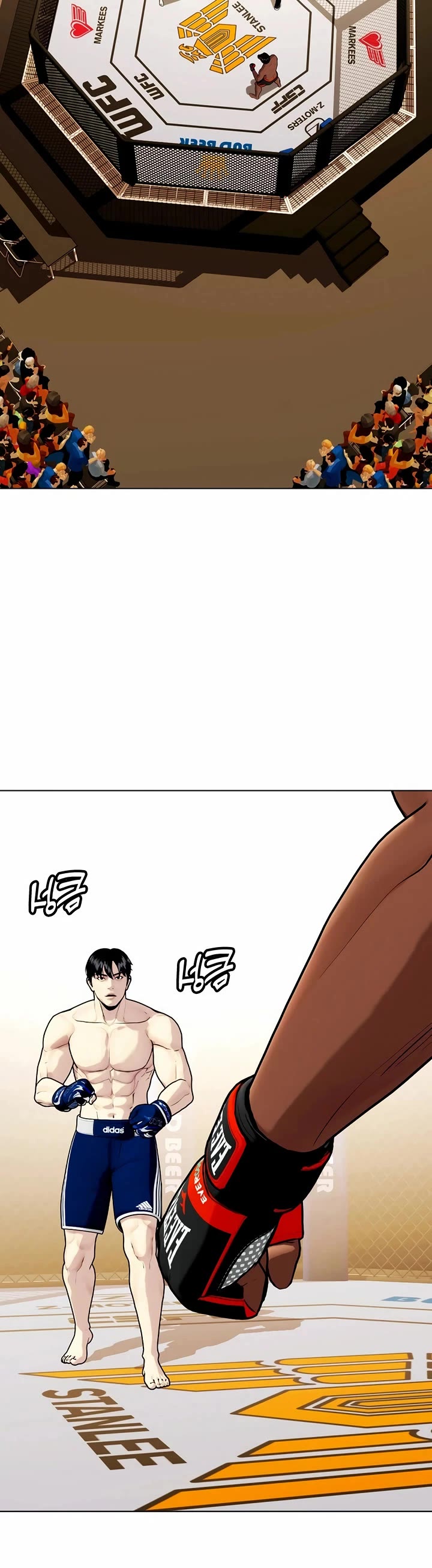 The Outcast Is Too Good at Martial Arts Chapter 111 page 84 - Chapter 111