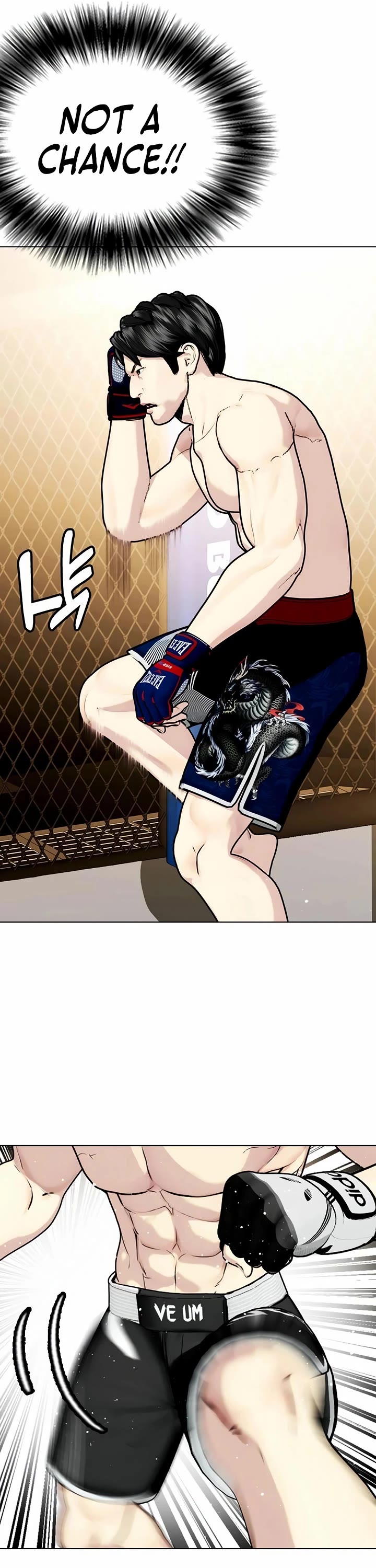 The Outcast Is Too Good at Martial Arts Chapter 113 page 90 - Chapter 113